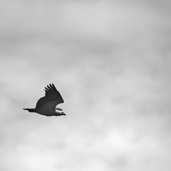 DSC_3413.jpg