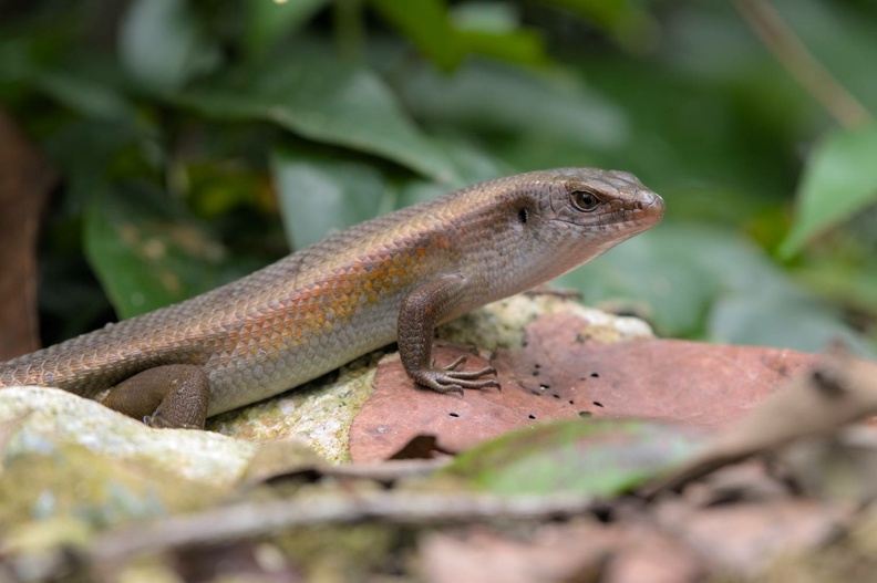 DSC_2658.jpg