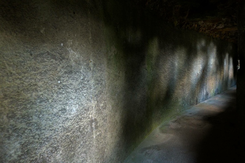 20231112_0362.jpg