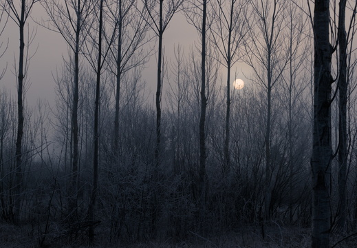 Winter Mood