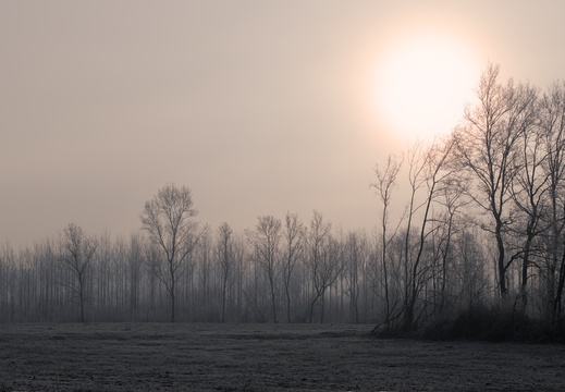 New Year Sunrise