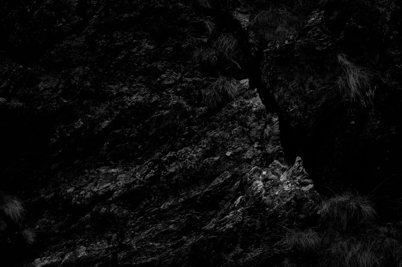 20260501_0037.jpg